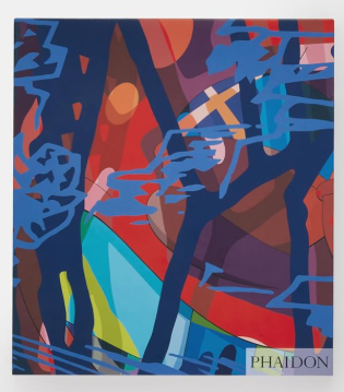 PHAIDON Kaws Cover hinten