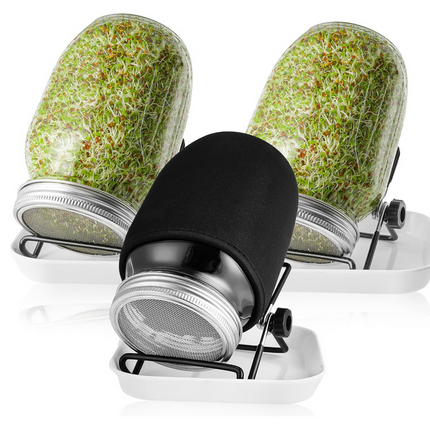 Sprossenglas 3er Set 1000ml | Jokisa mit Deckeln und Haltern