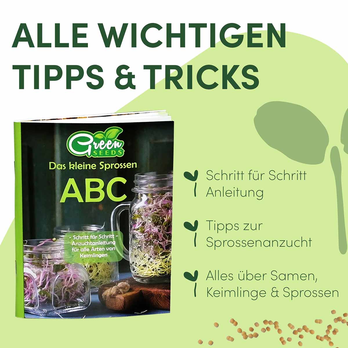 Green SEEDS Sprossenglas Keimglas 1er Set – Ihr Weg zu frischen, selbstgezogenen Sprossen!