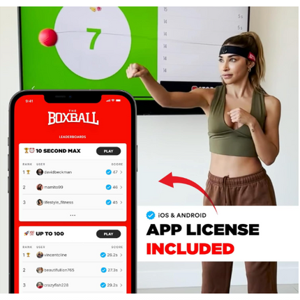 boxbollen-training-kondition-mit-app 4