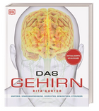 das-gehirn-rita-carter-gebundene-ausgabe