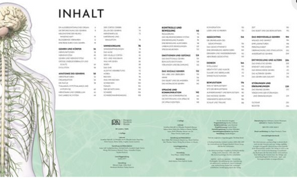 das-gehirn-rita-carter-gebundene-ausgabe 3