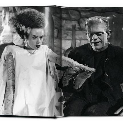 horror-cinema-gebundene-ausgabe-taschen-verlag-gruselfilme-buch 3