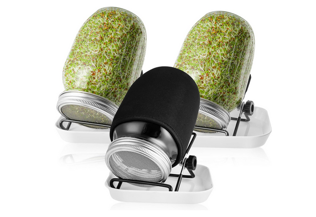 sprossenglas-3er-set-1000ml-jokisa-mit-deckel-halter